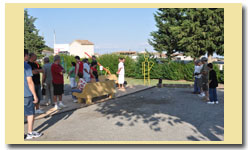 CAMPEONATO DE PETANCA