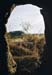 cueva
